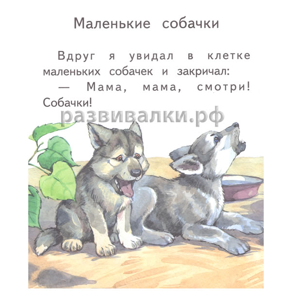 Книга "Маленькие собачки"
