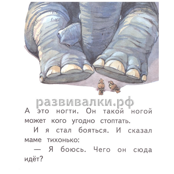 Книга "Слоны"