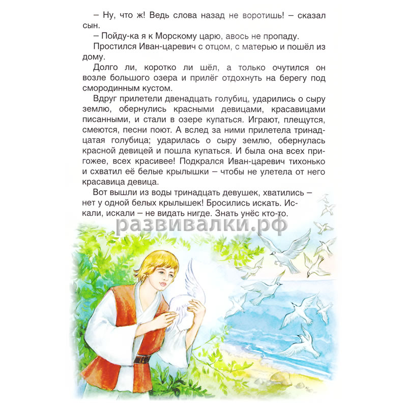 Книга "Василиса Премудрая"