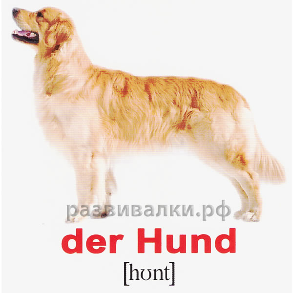Немецкие карточки "Домашние животные"