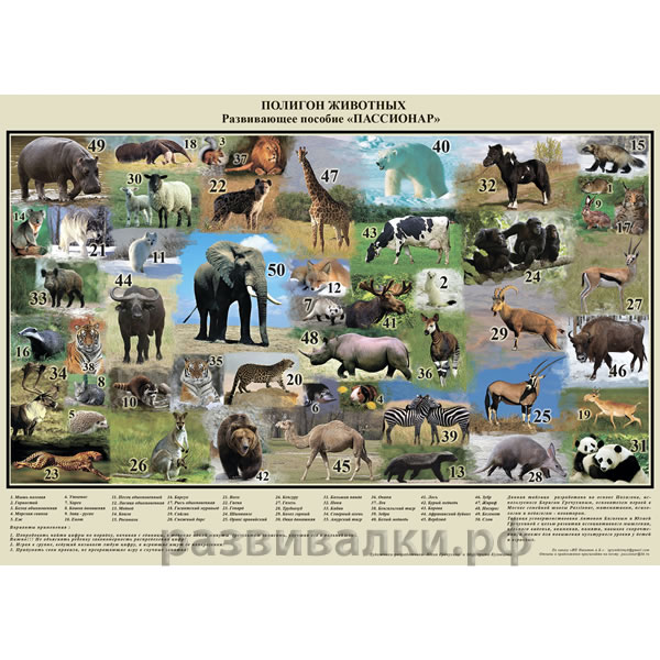 Плакат "Животные"