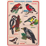 Зимующие птицы (Картинки-половинки животных)