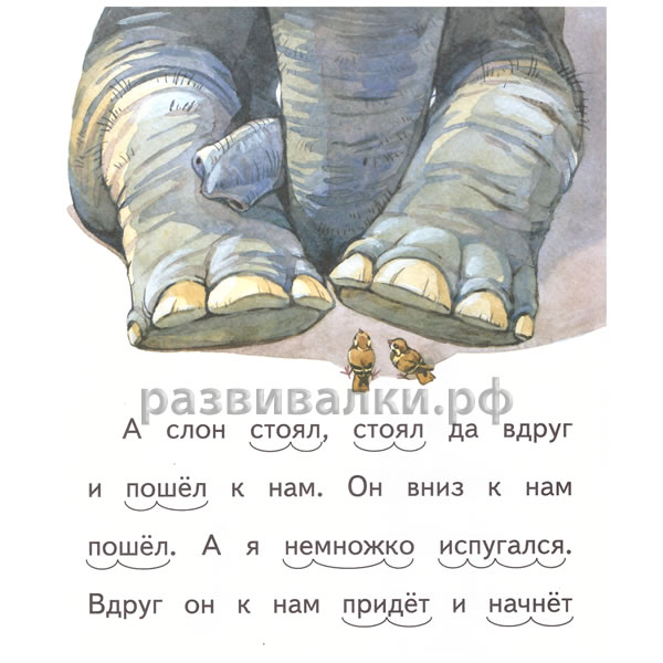 Рассказ "Слоны"