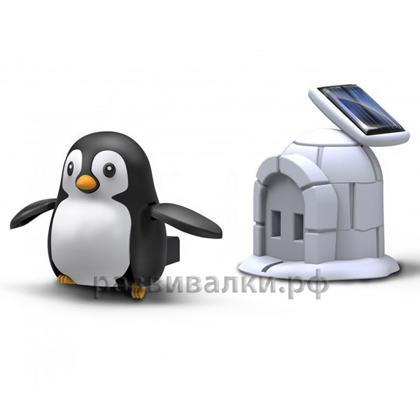 Солнечный пингвин
