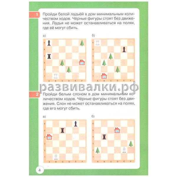 Шахматы: арифметические и логические задачи
